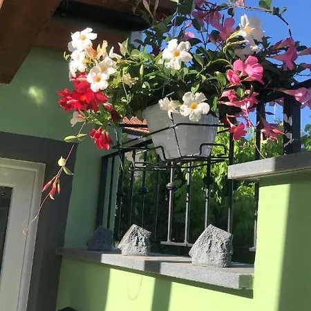 Bed & Breakfast Tom & Jerry *