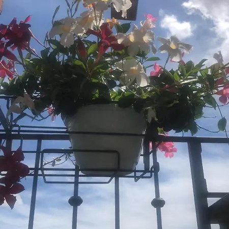 Bed & Breakfast Tom & Jerry 3*