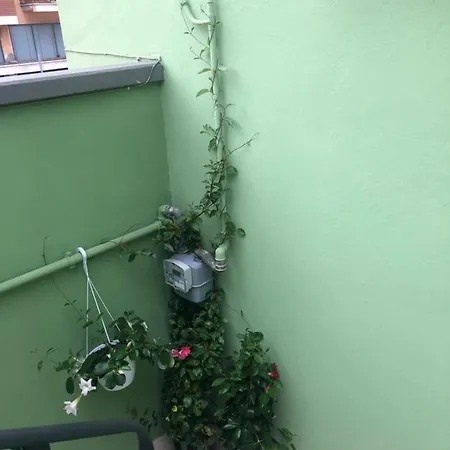 Tom & Jerry Frühstückspension *