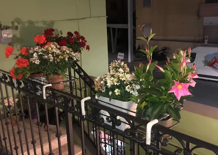 Tom & Jerry Bed & Breakfast 3*