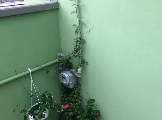 Tom & Jerry Bed and breakfast 4*